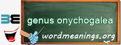 WordMeaning blackboard for genus onychogalea